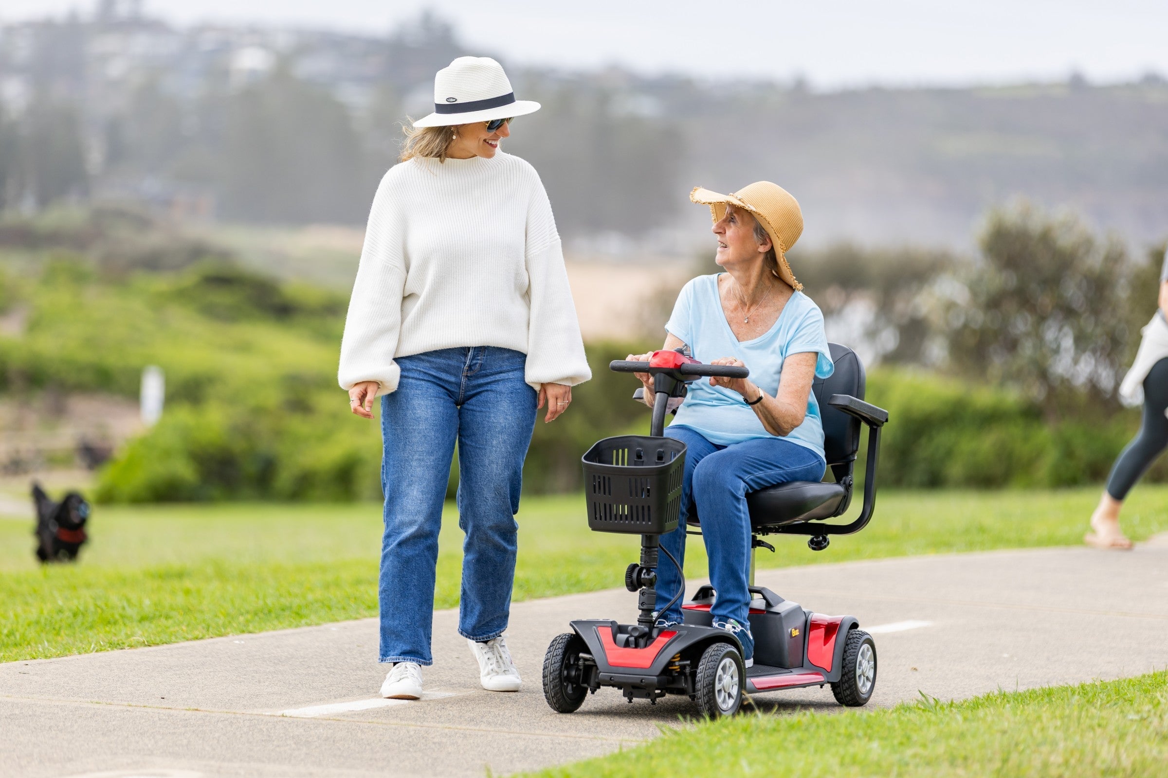 Mobility Scooter Basics