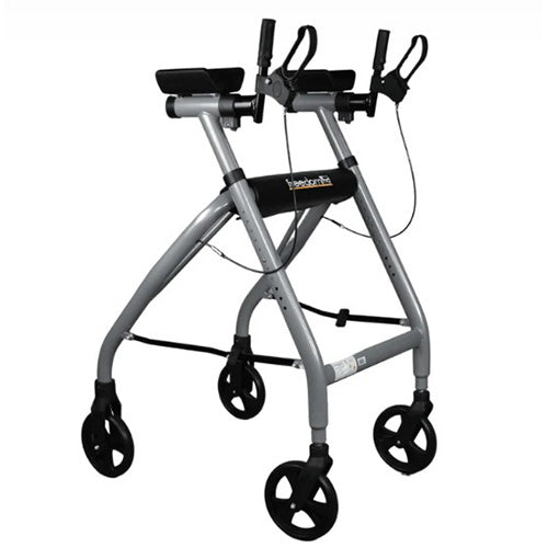 Walk Assist Tutor
