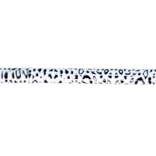 Folding Engraved Walking Stick - Rehab and Mobility